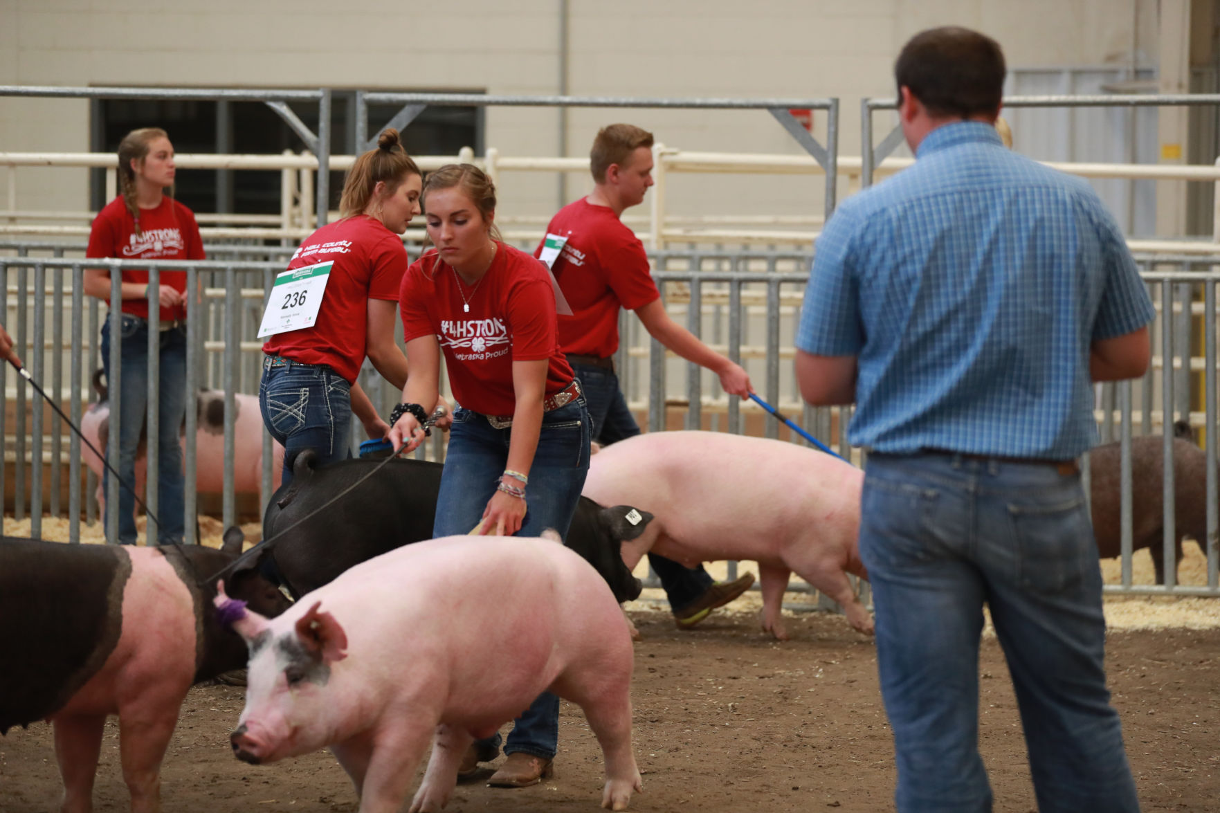 071119_HallCoFair28_bjs.JPG